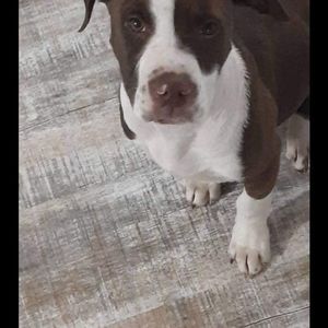 Meet your Posher, Kade